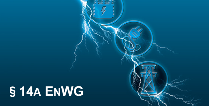 §14a EnWG