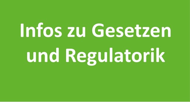 GEG/GMG, §14a EnWG